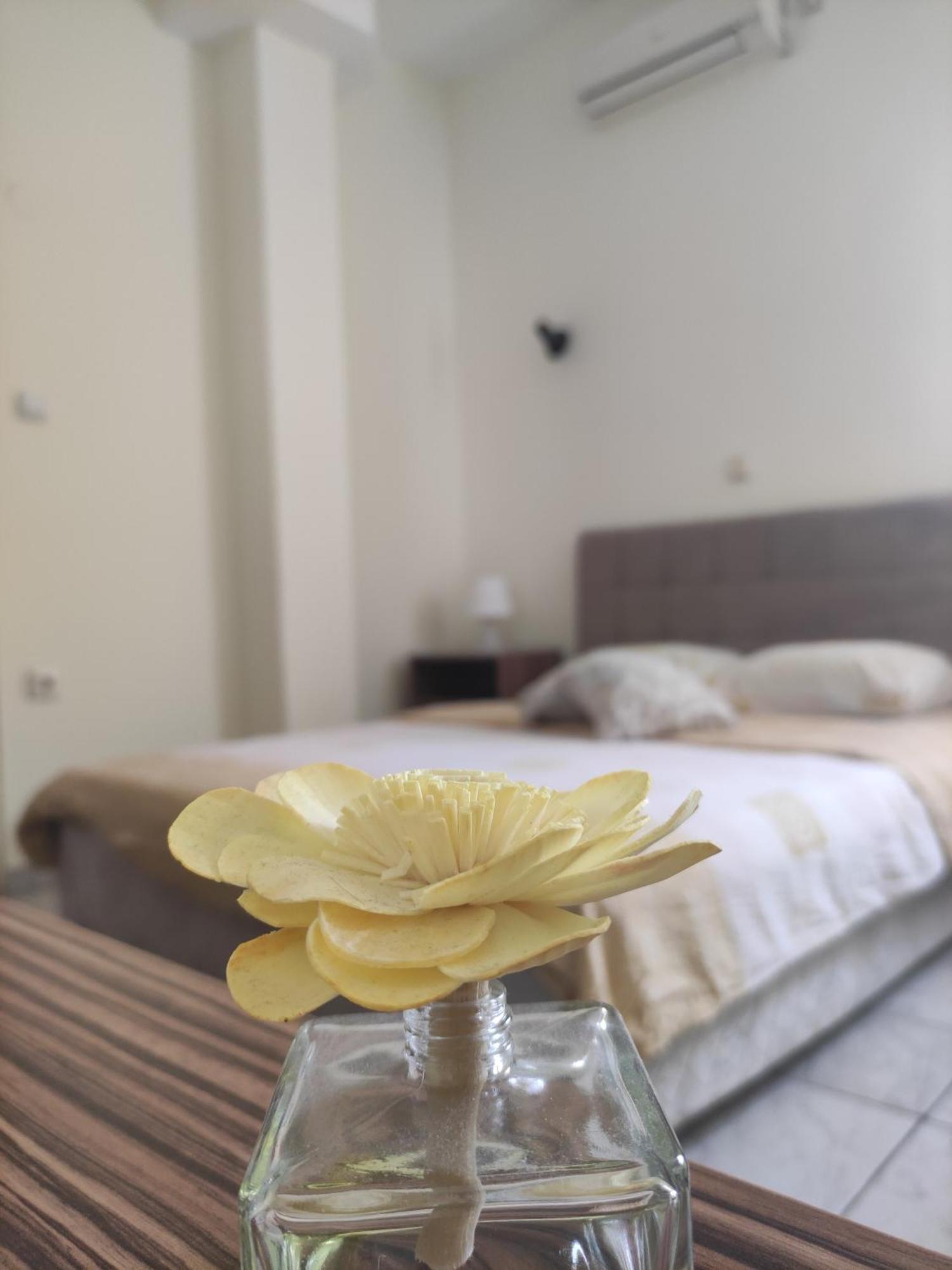 B&B Bebinac Leskovac  Ngoại thất bức ảnh